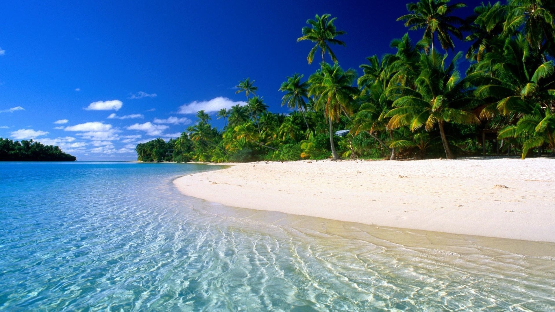 Ideas de Verano