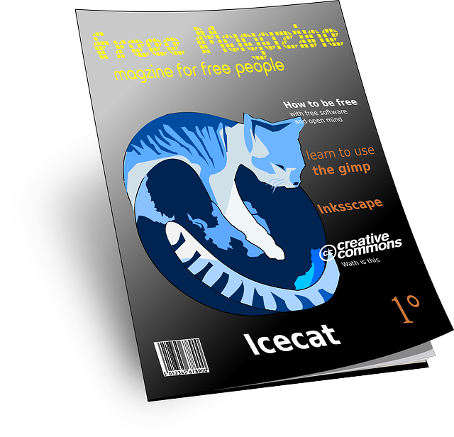 Ideas Editoriales: Te ayudamos a convertir tus proyectos digitales en rentables